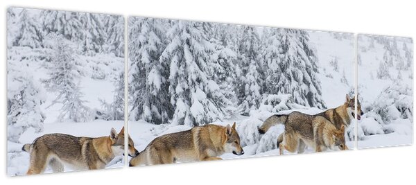 Obraz - Vlci v horách (170x50 cm)