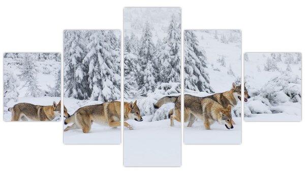 Obraz - Vlci v horách (125x70 cm)