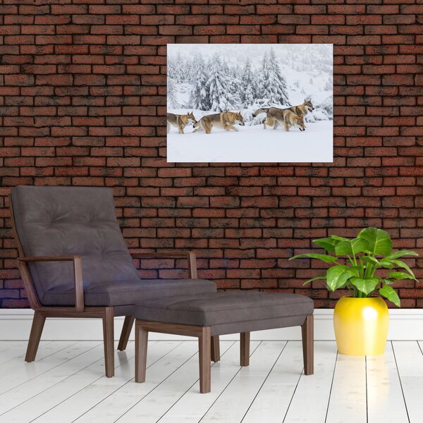 Skleněný obraz - Vlci v horách (70x50 cm)