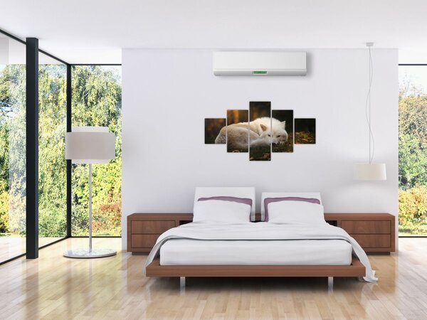 Obraz - Odpočívající vlk (125x70 cm)