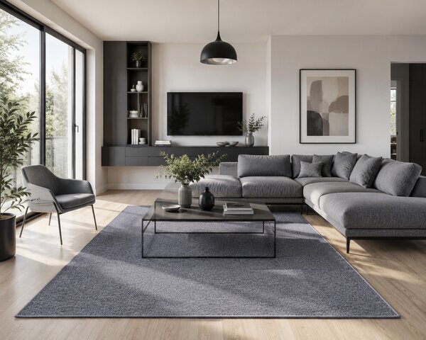 Vopi, Kusový koberec Astra šedá, 57x120, šedá, chodba / předsíň