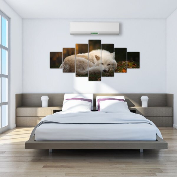 Obraz - Odpočívající vlk (210x100 cm)