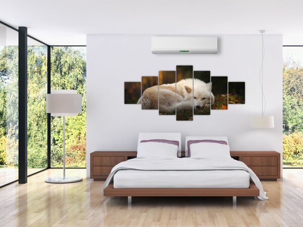 Obraz - Odpočívající vlk (210x100 cm)