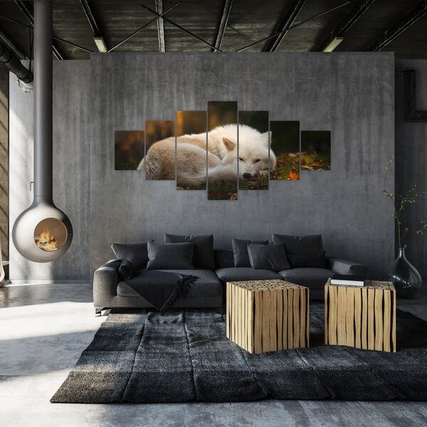 Obraz - Odpočívající vlk (210x100 cm)