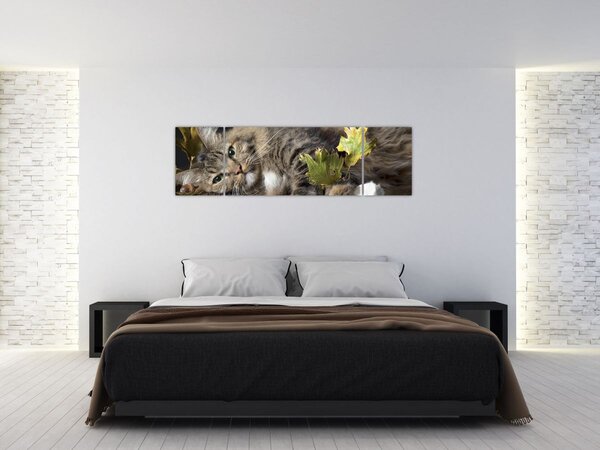 Obraz - Ležící kočka (170x50 cm)