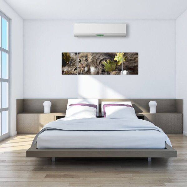Obraz - Ležící kočka (170x50 cm)