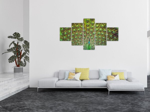 Obraz - Páv (125x70 cm)