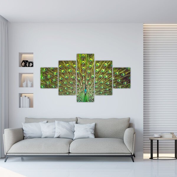 Obraz - Páv (125x70 cm)