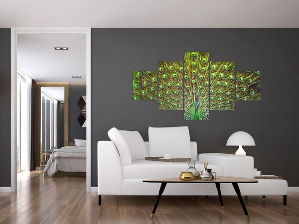 Obraz - Páv (125x70 cm)