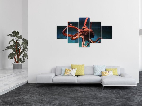 Obraz - Chobotnice (125x70 cm)