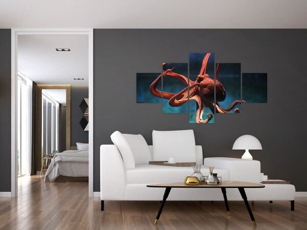 Obraz - Chobotnice (125x70 cm)