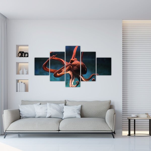 Obraz - Chobotnice (125x70 cm)