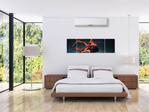 Obraz - Chobotnice (170x50 cm)
