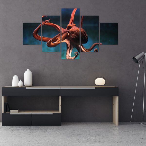Obraz - Chobotnice (125x70 cm)