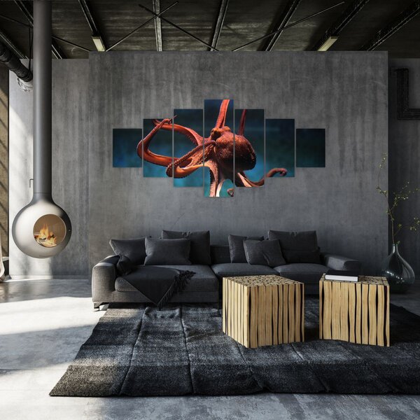 Obraz - Chobotnice (210x100 cm)