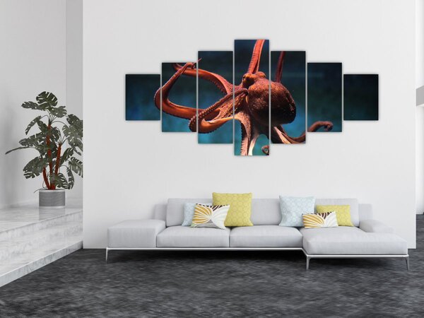 Obraz - Chobotnice (210x100 cm)