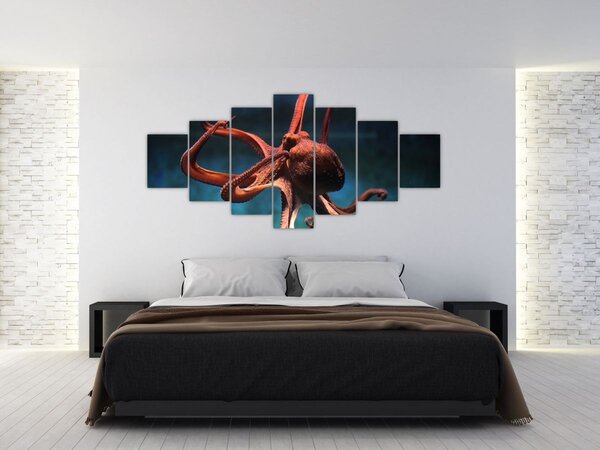 Obraz - Chobotnice (210x100 cm)