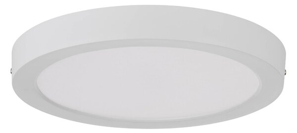 Stropní LED svítidlo IDUN-E bílá