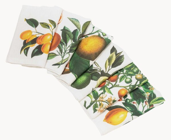Sada lněných ubrousků Citrus, 6 dílů