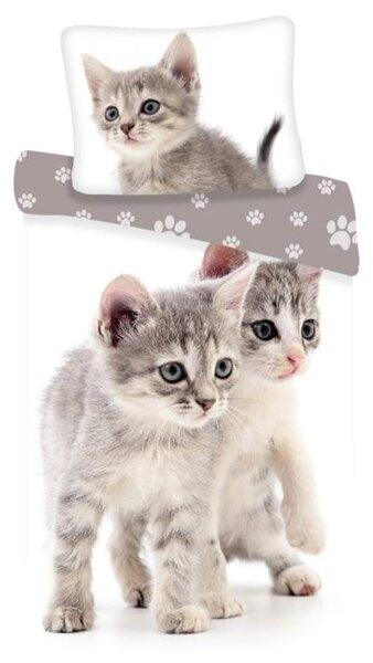 Povlečení KITTEN GREY 70x90 a 140x200 cm