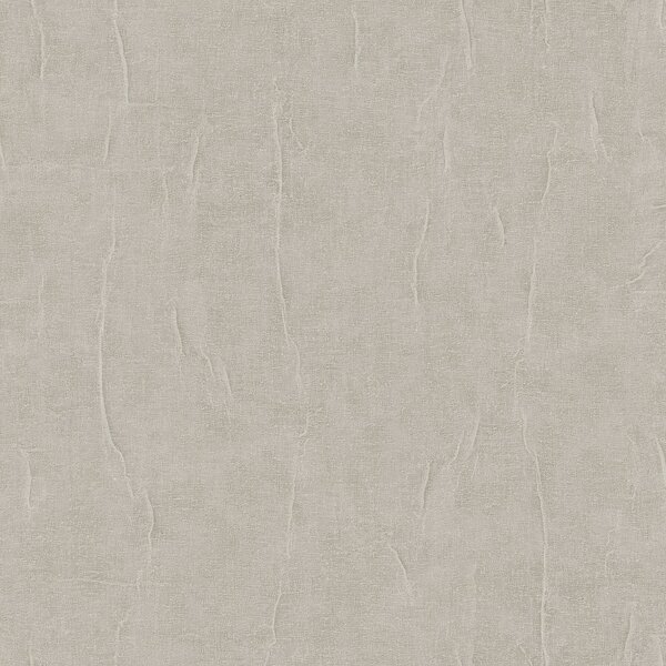 Šedo-béžová (Taupe) vliesová tapeta na zeď, imitace kamene, RE521083, Renaissance, Design Id