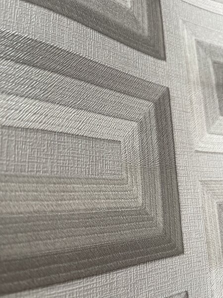 Světle šedá 3D vliesová tapeta na zeď, RE521073, Renaissance, Design Id