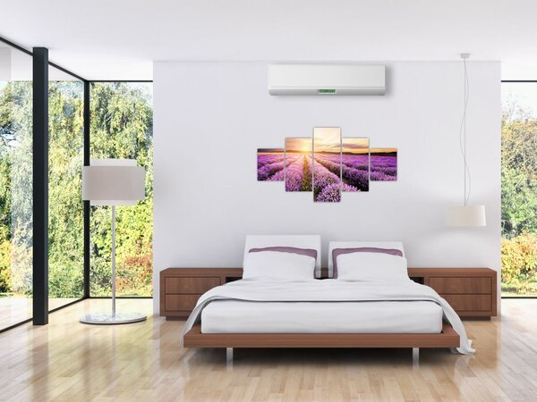 Obraz - Východ slunce v levandulovém poli (125x70 cm)