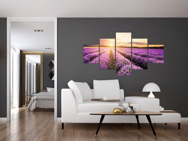 Obraz - Východ slunce v levandulovém poli (125x70 cm)