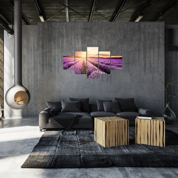 Obraz - Východ slunce v levandulovém poli (125x70 cm)