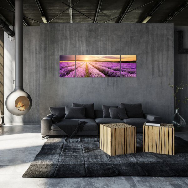 Obraz - Východ slunce v levandulovém poli (170x50 cm)