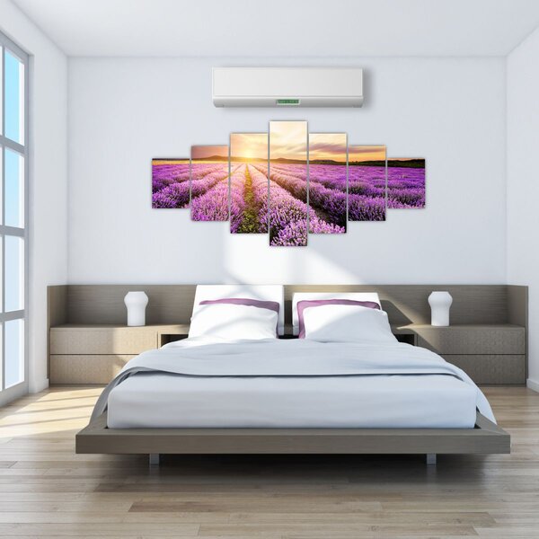 Obraz - Východ slunce v levandulovém poli (210x100 cm)