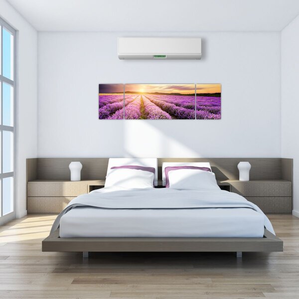 Obraz - Východ slunce v levandulovém poli (170x50 cm)