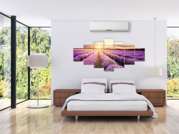 Obraz - Východ slunce v levandulovém poli (210x100 cm)