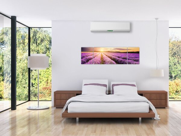 Obraz - Východ slunce v levandulovém poli (170x50 cm)
