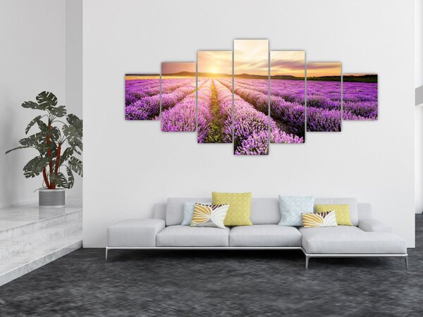 Obraz - Východ slunce v levandulovém poli (210x100 cm)