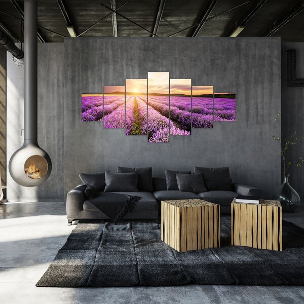 Obraz - Východ slunce v levandulovém poli (210x100 cm)