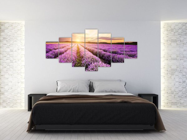 Obraz - Východ slunce v levandulovém poli (210x100 cm)