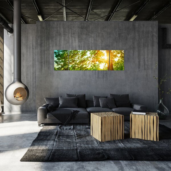 Obraz - Slunečný les (170x50 cm)