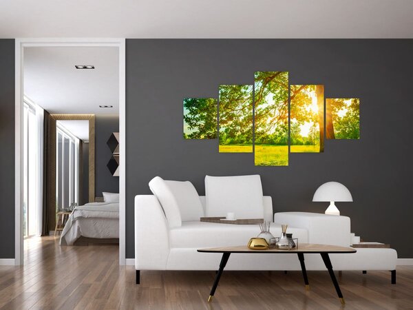 Obraz - Slunečný les (125x70 cm)