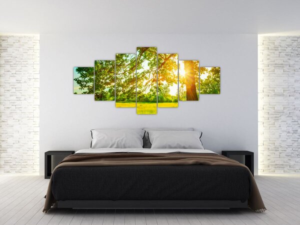 Obraz - Slunečný les (210x100 cm)