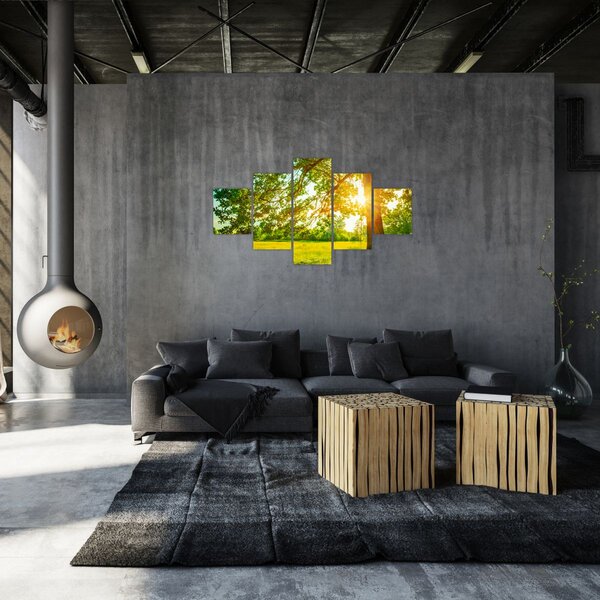 Obraz - Slunečný les (125x70 cm)