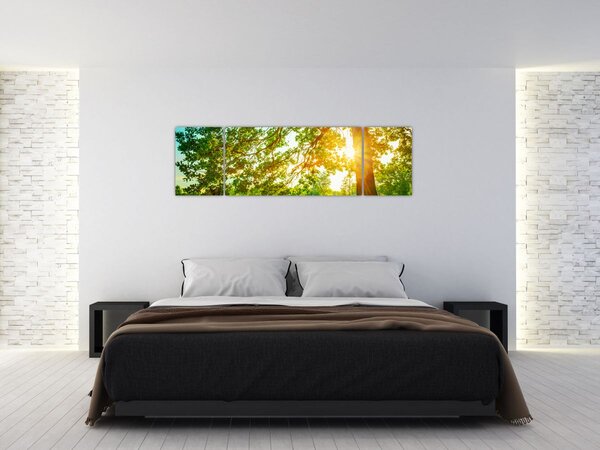Obraz - Slunečný les (170x50 cm)
