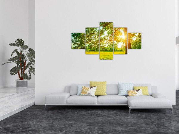 Obraz - Slunečný les (125x70 cm)