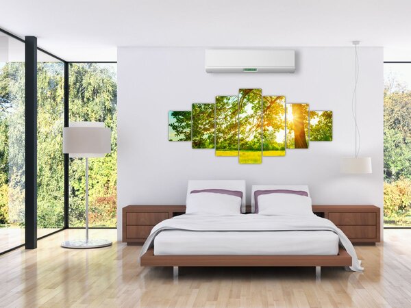 Obraz - Slunečný les (210x100 cm)