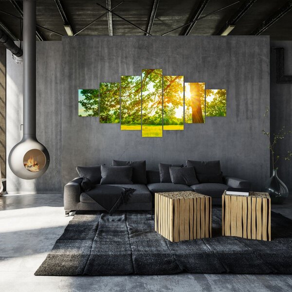 Obraz - Slunečný les (210x100 cm)