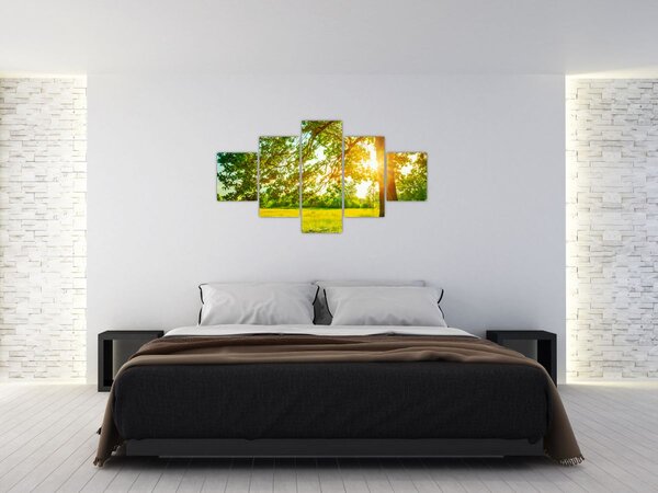 Obraz - Slunečný les (125x70 cm)
