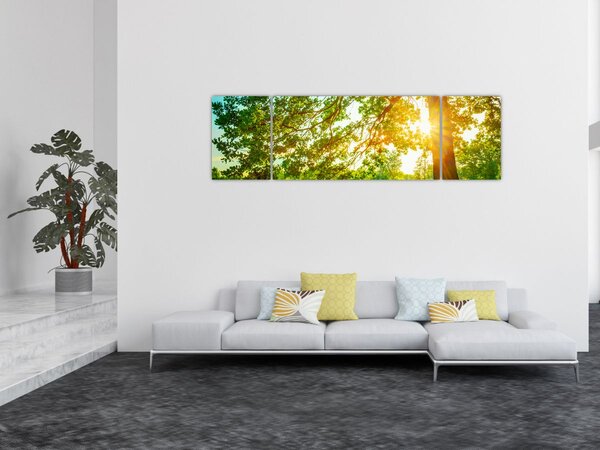 Obraz - Slunečný les (170x50 cm)