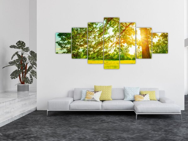 Obraz - Slunečný les (210x100 cm)