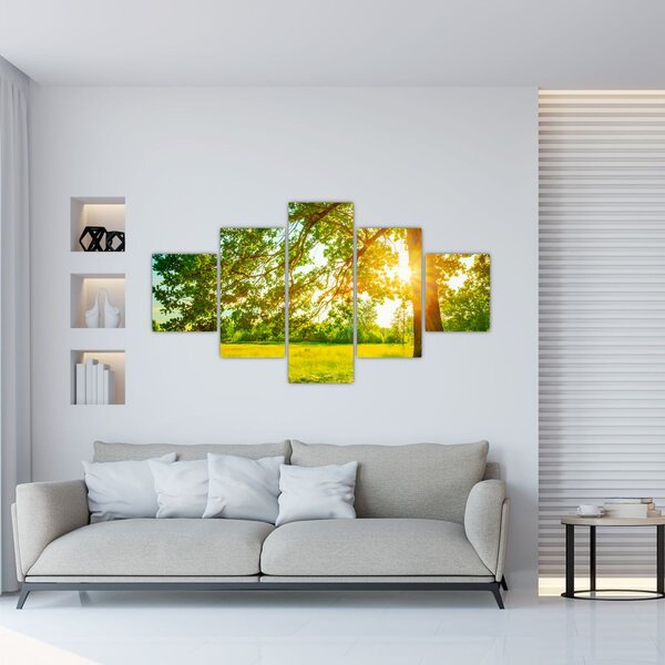 Obraz - Slunečný les (125x70 cm)