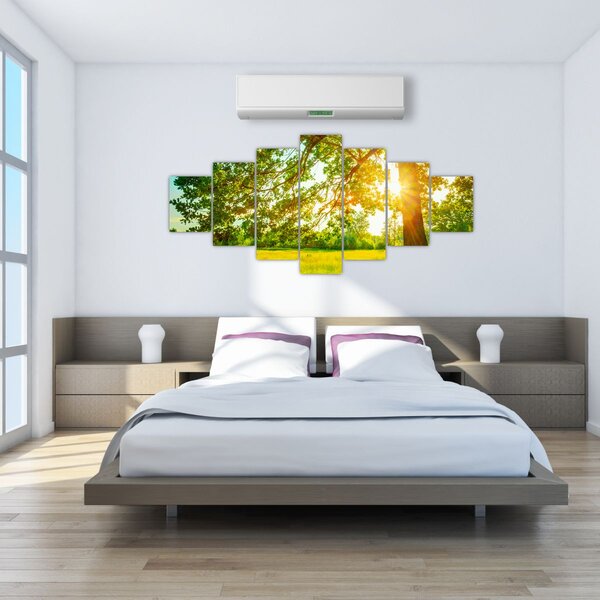 Obraz - Slunečný les (210x100 cm)